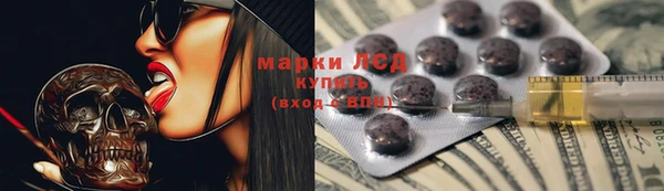 гидра Наволоки