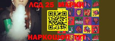 шишки Донской