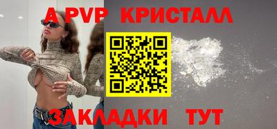 шишки Донской