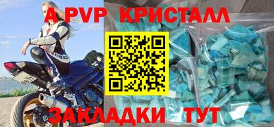 шишки Донской