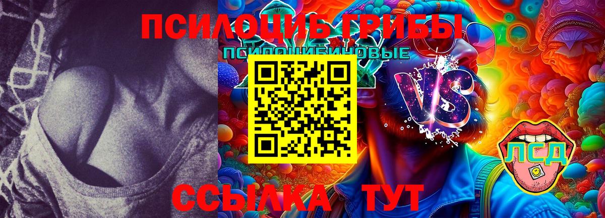 Галлюциногенные грибы Magic Shrooms  Вход с VPN  Североморск 